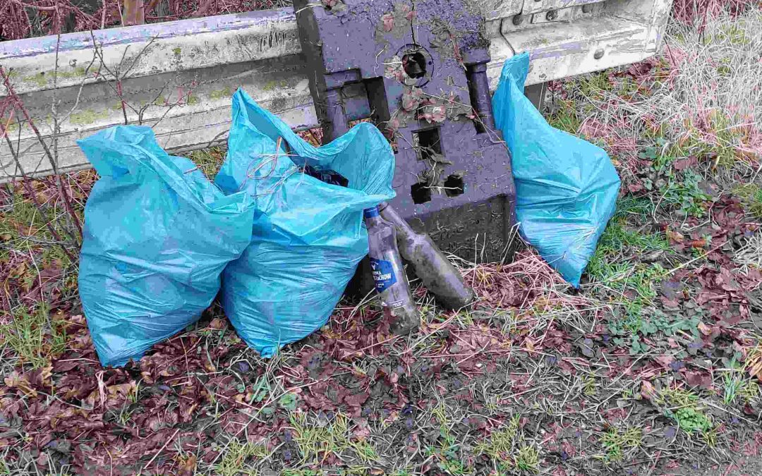 Müllsammelaktion in Bliesheim