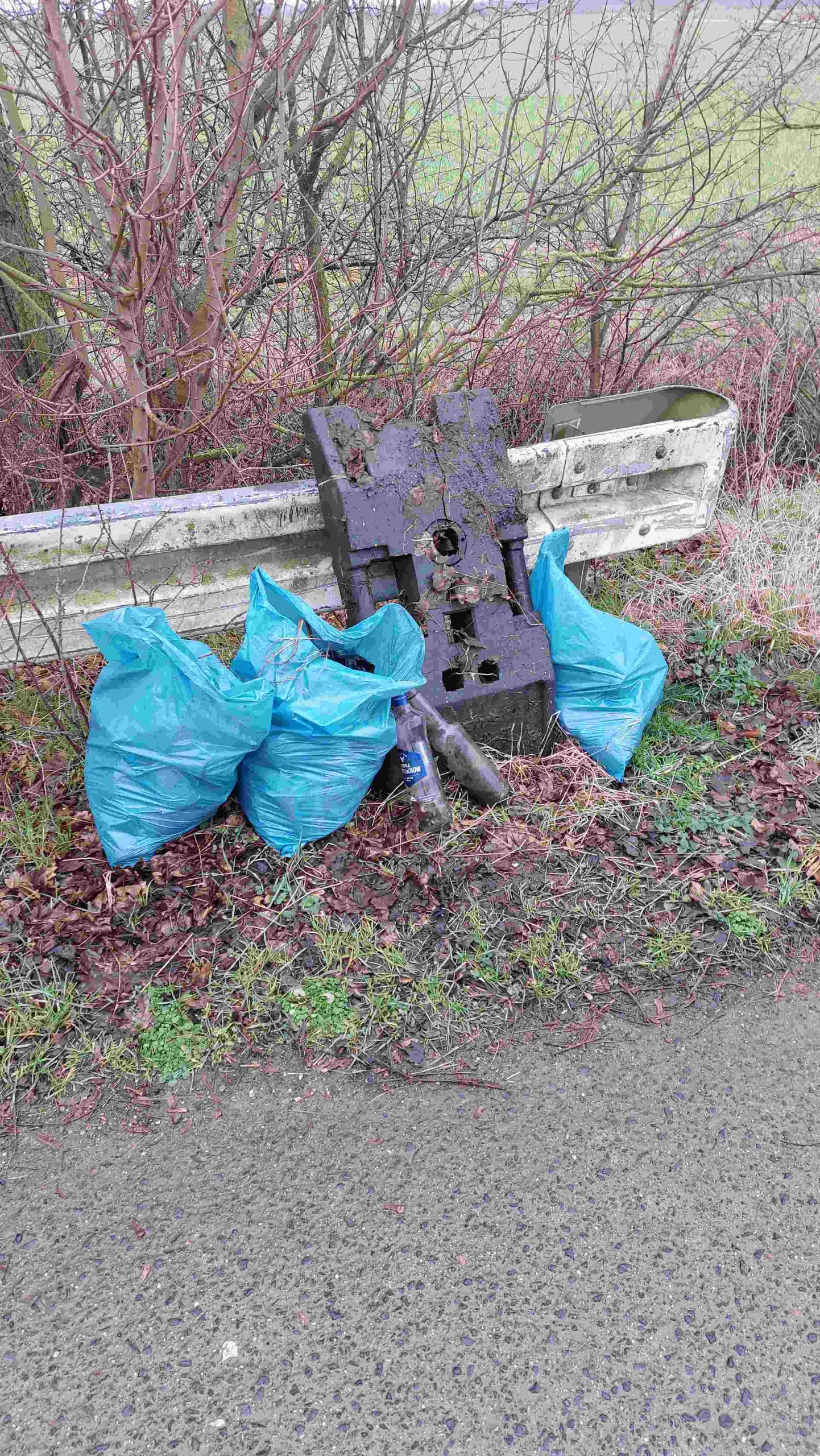 Müllsammelaktion in Bliesheim